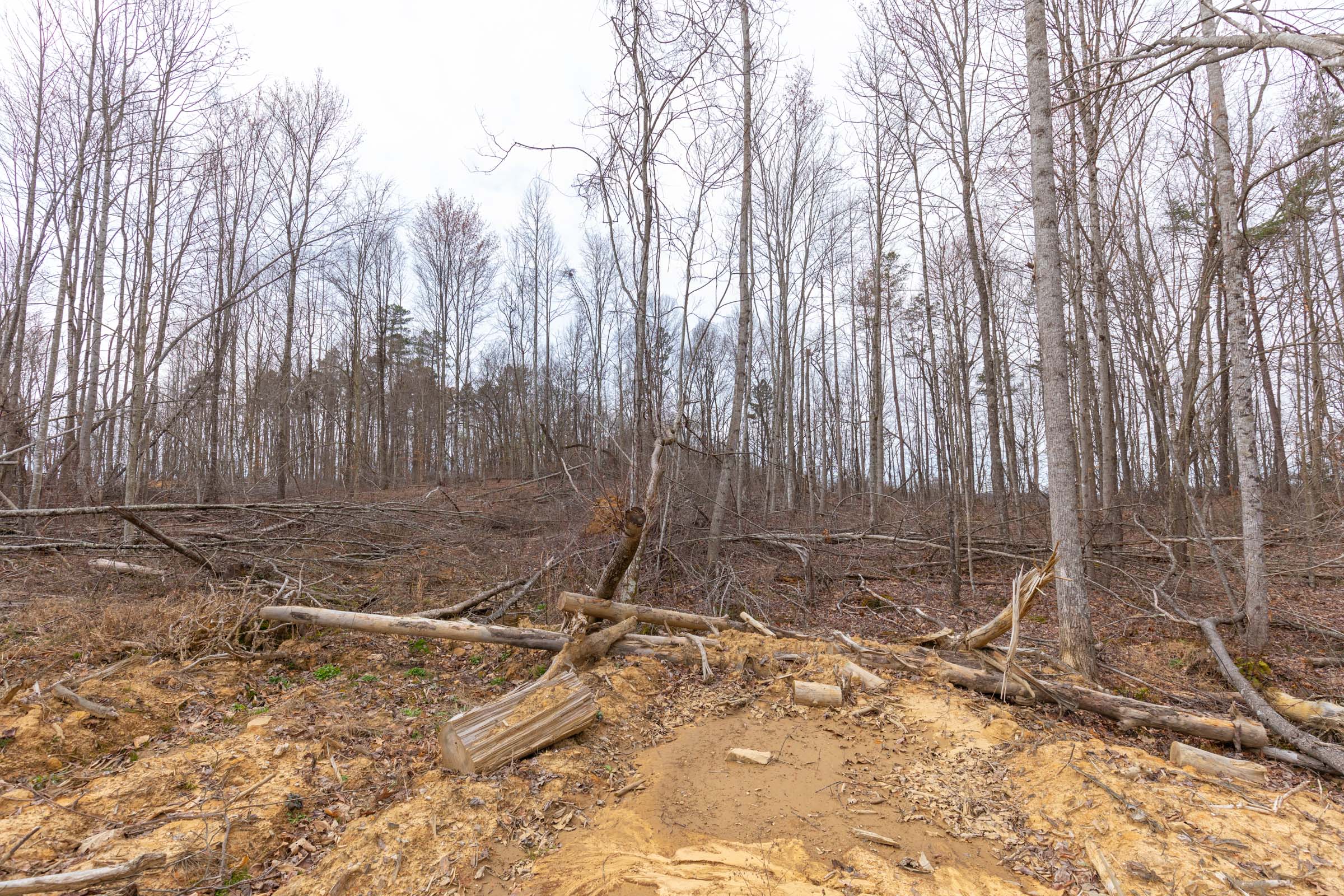 Tract 1 at Creek Hollow Phase I in Rockcastle County, Kentucky