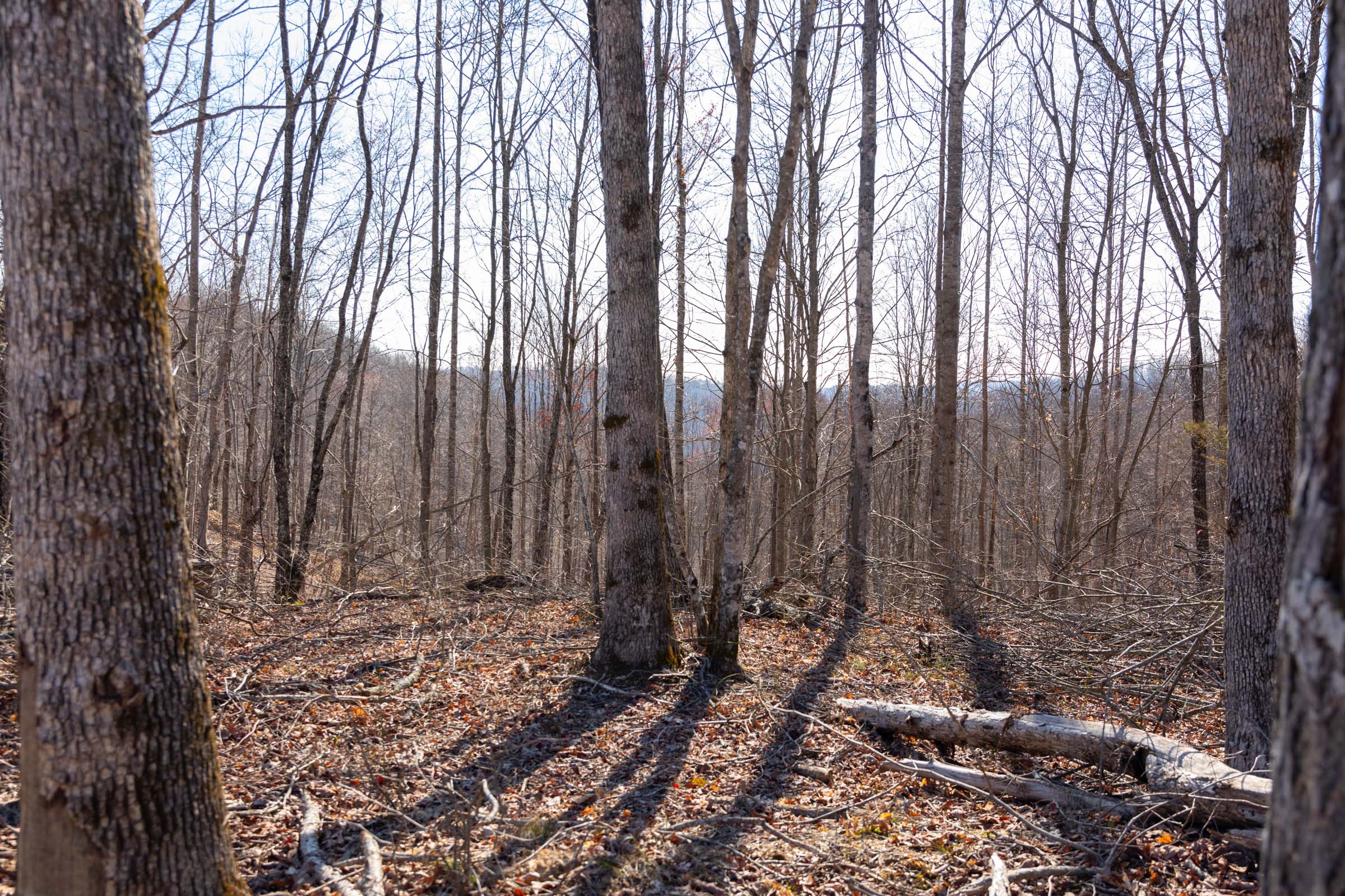 Tract 10 at Creek Hollow Phase I in Rockcastle County, Kentucky