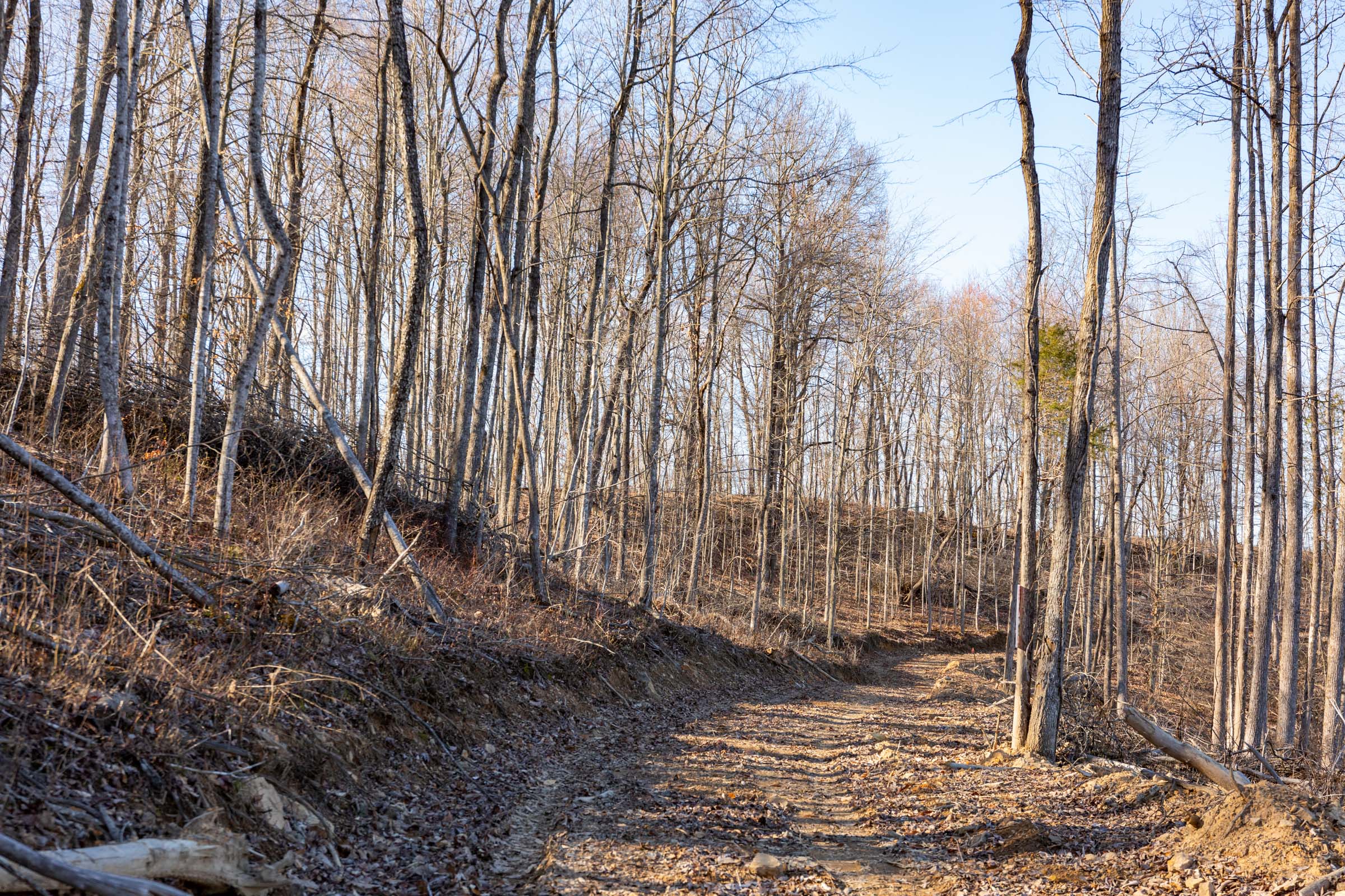Tract 12 at Creek Hollow Phase I in Rockcastle County, Kentucky
