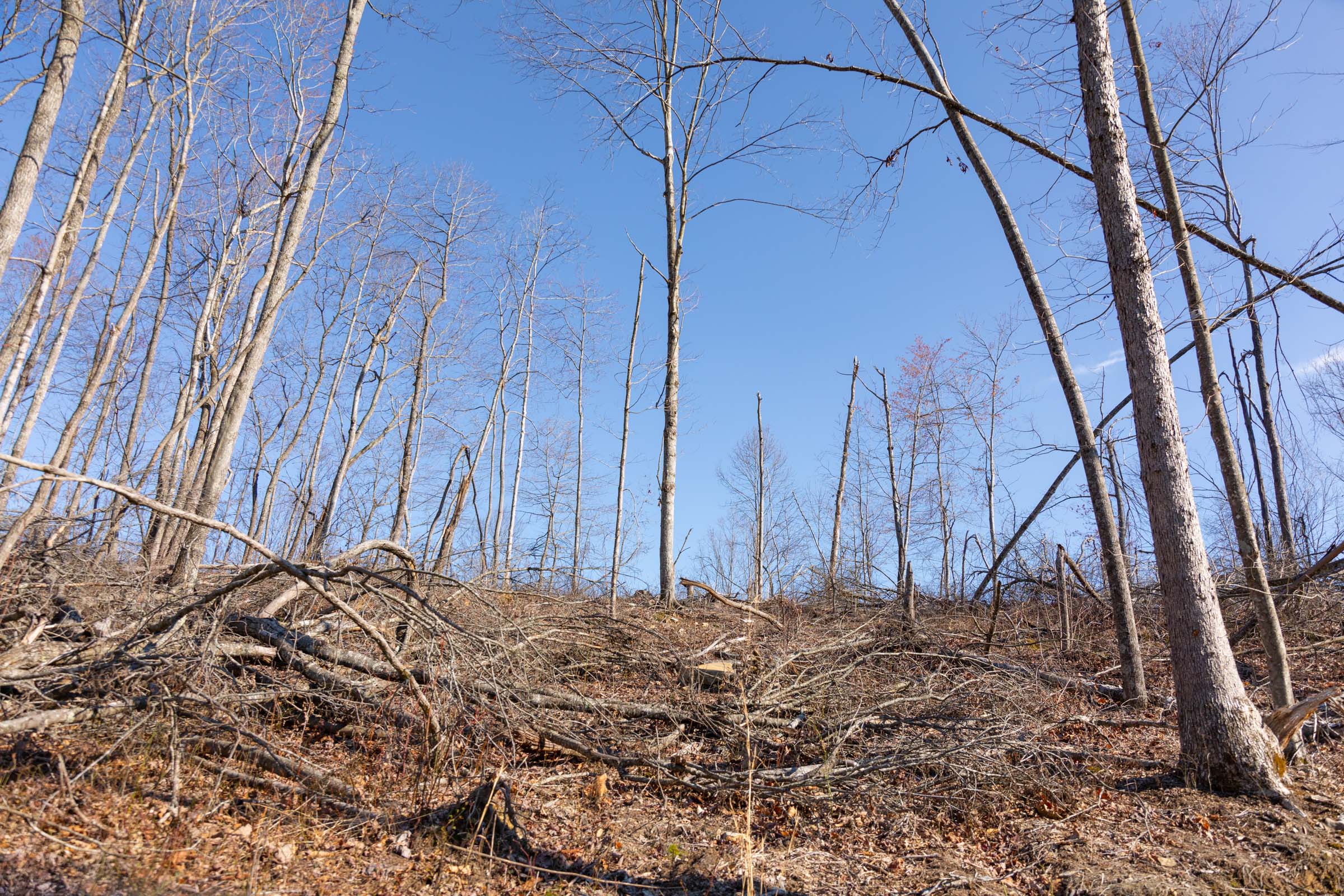 Tract 19 at Creek Hollow Phase I in Rockcastle County, Kentucky