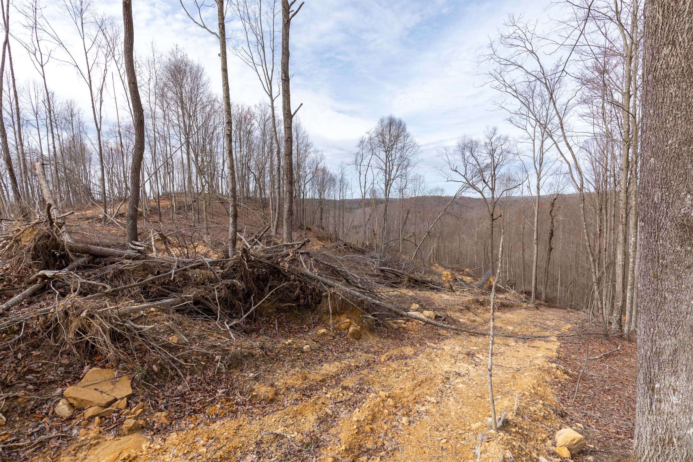 Tract 2 at Creek Hollow Phase I in Rockcastle County, Kentucky
