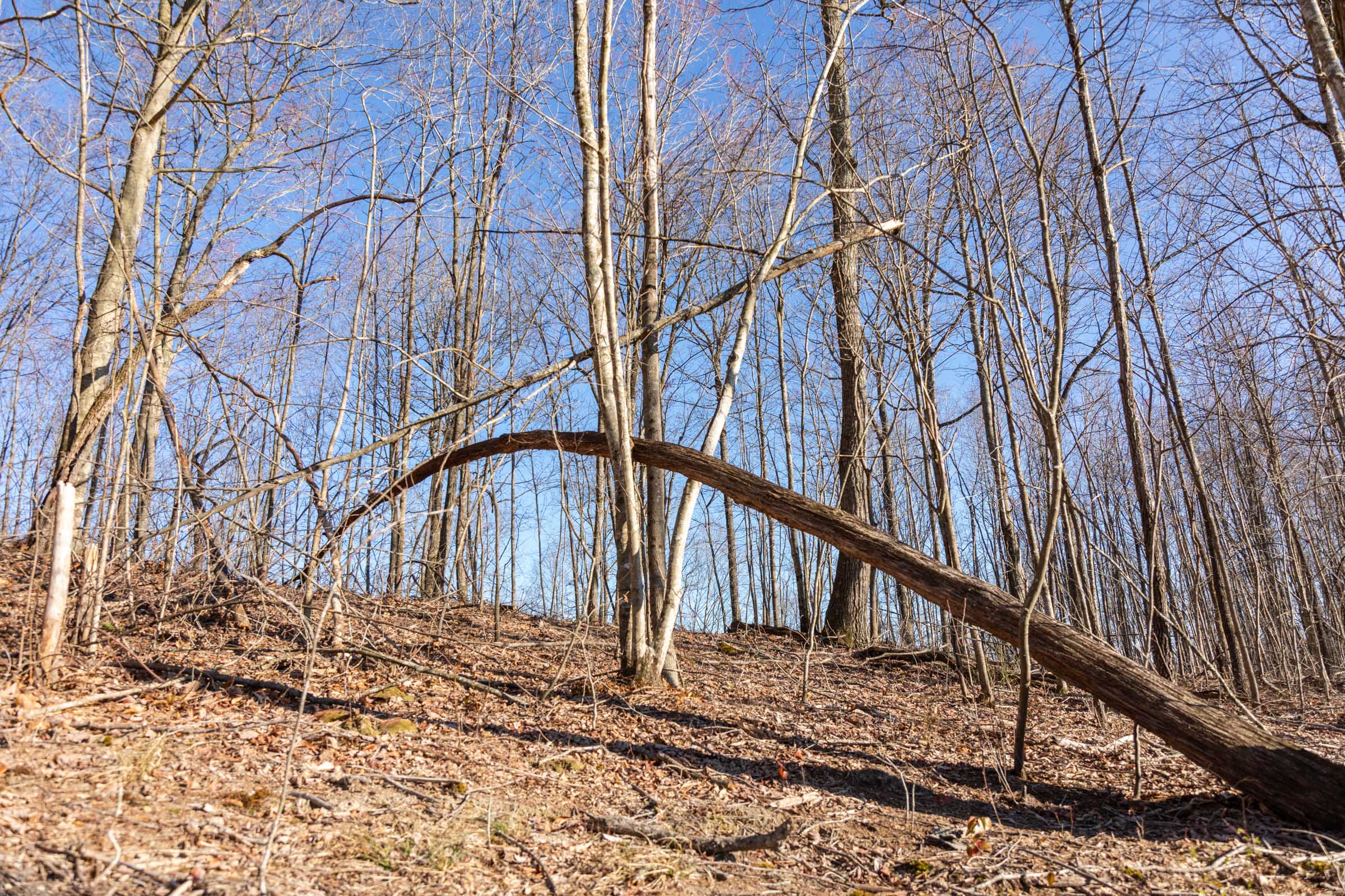 Tract 20 at Creek Hollow Phase I in Rockcastle County, Kentucky