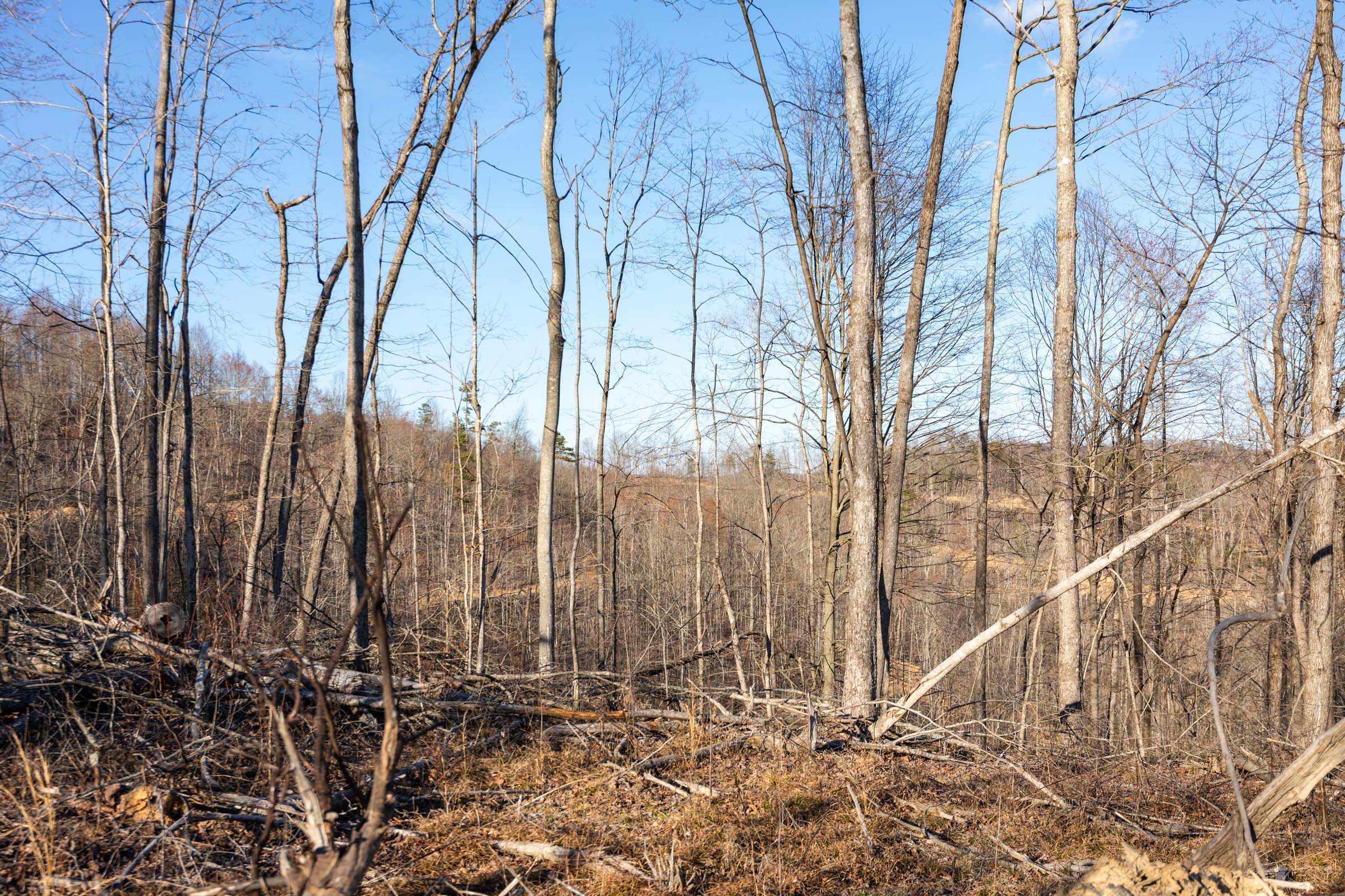 Tract 21 at Creek Hollow Phase I in Rockcastle County, Kentucky