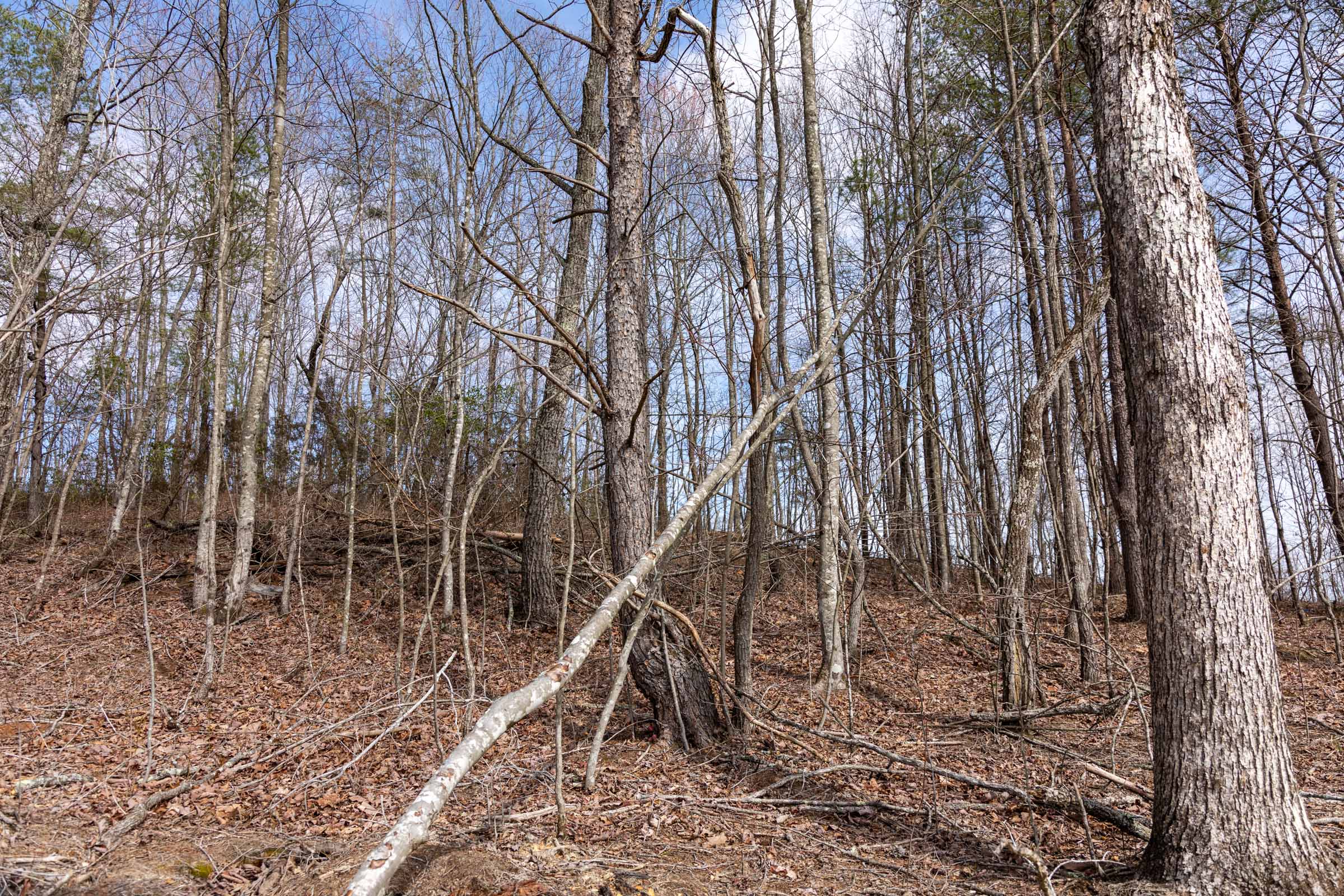 Tract 30 at Creek Hollow Phase I in Rockcastle County, Kentucky