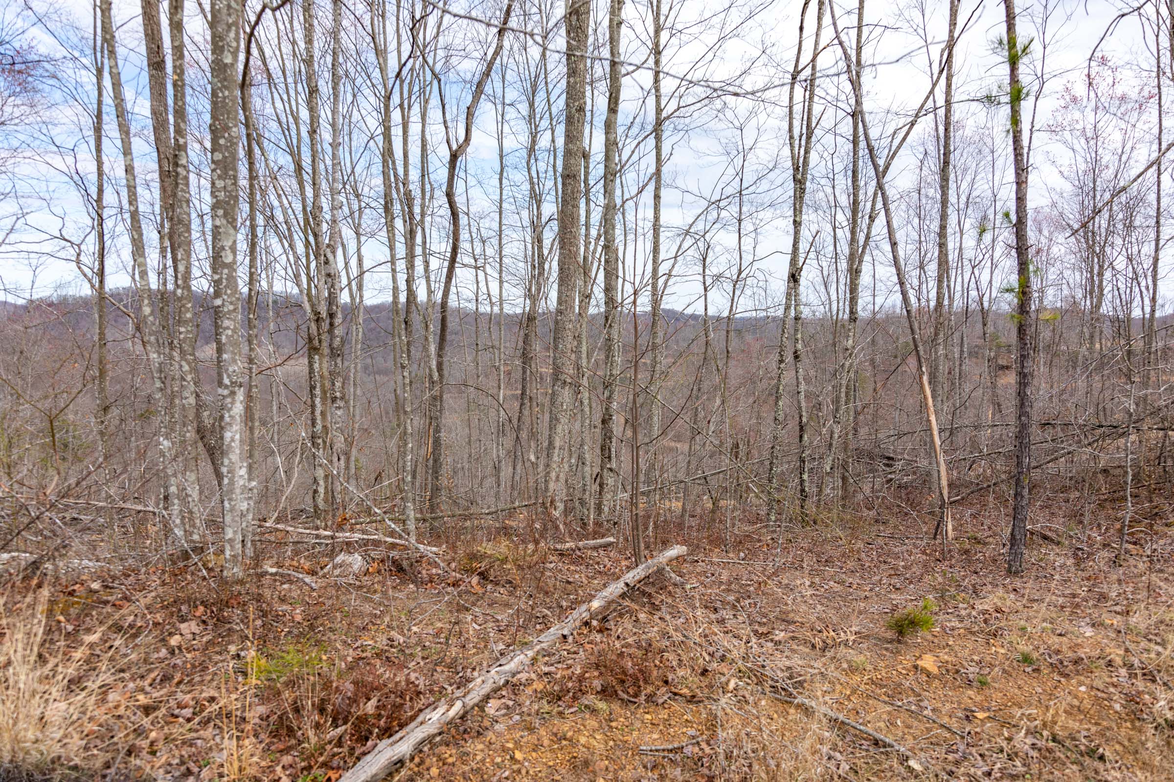 Tract 31 at Creek Hollow Phase I in Rockcastle County, Kentucky