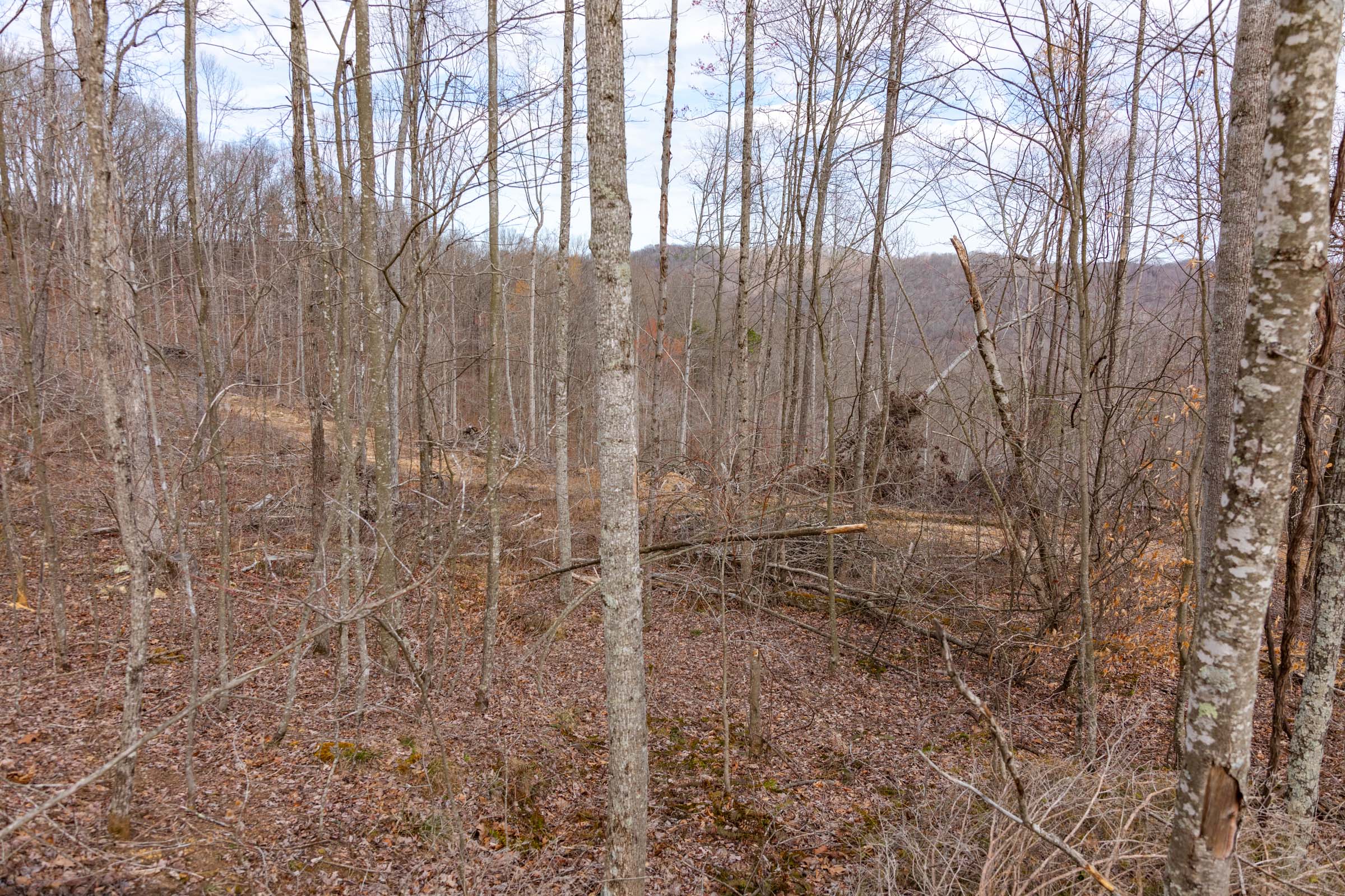Tract 32 at Creek Hollow Phase I in Rockcastle County, Kentucky