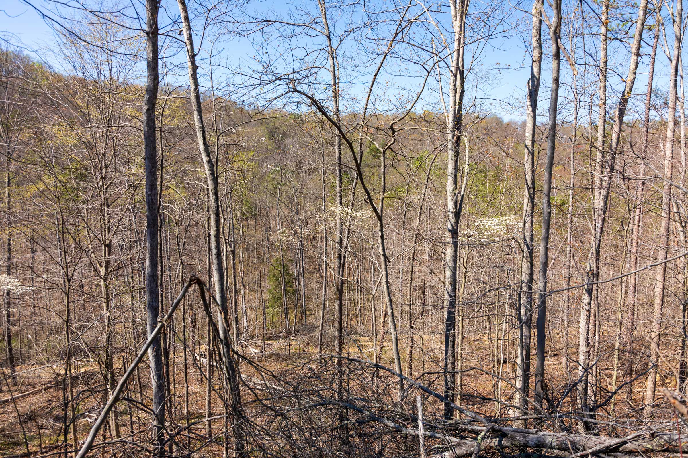 Tract 33 at Creek Hollow Phase I in Rockcastle County, Kentucky