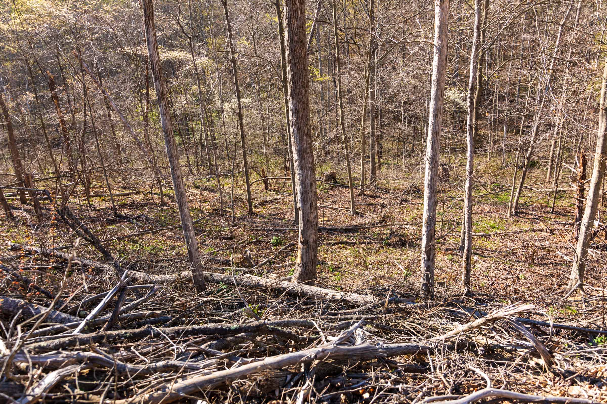 Tract 34 at Creek Hollow Phase I in Rockcastle County, Kentucky