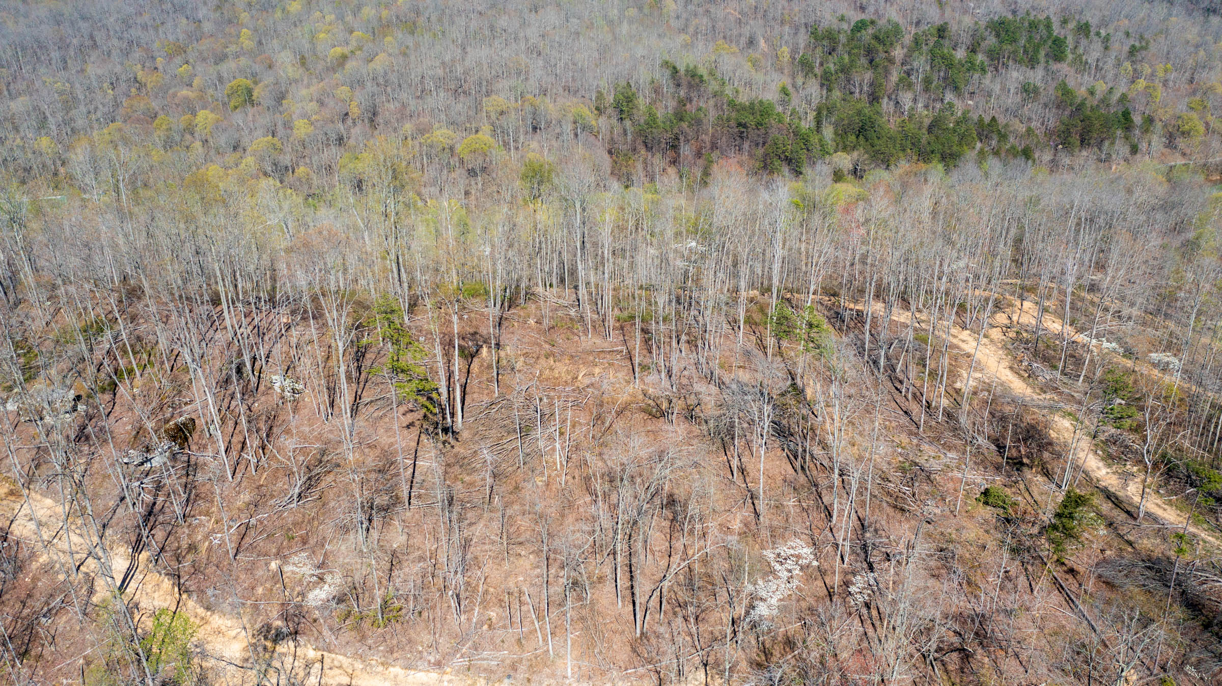 Tract 36 at Creek Hollow Phase I in Rockcastle County, Kentucky