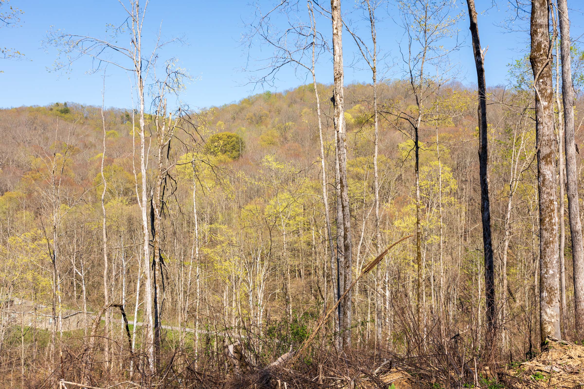 Tract 37 at Creek Hollow Phase I in Rockcastle County, Kentucky