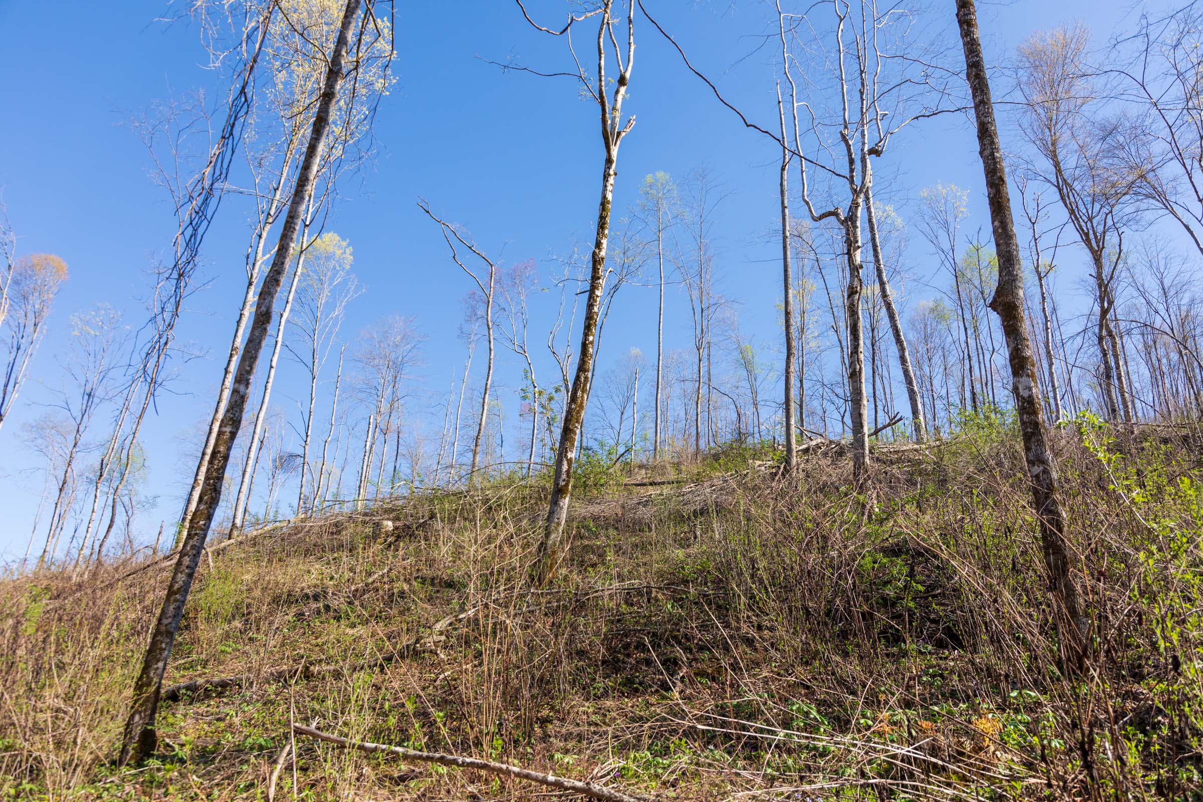 Tract 38 at Creek Hollow Phase I in Rockcastle County, Kentucky