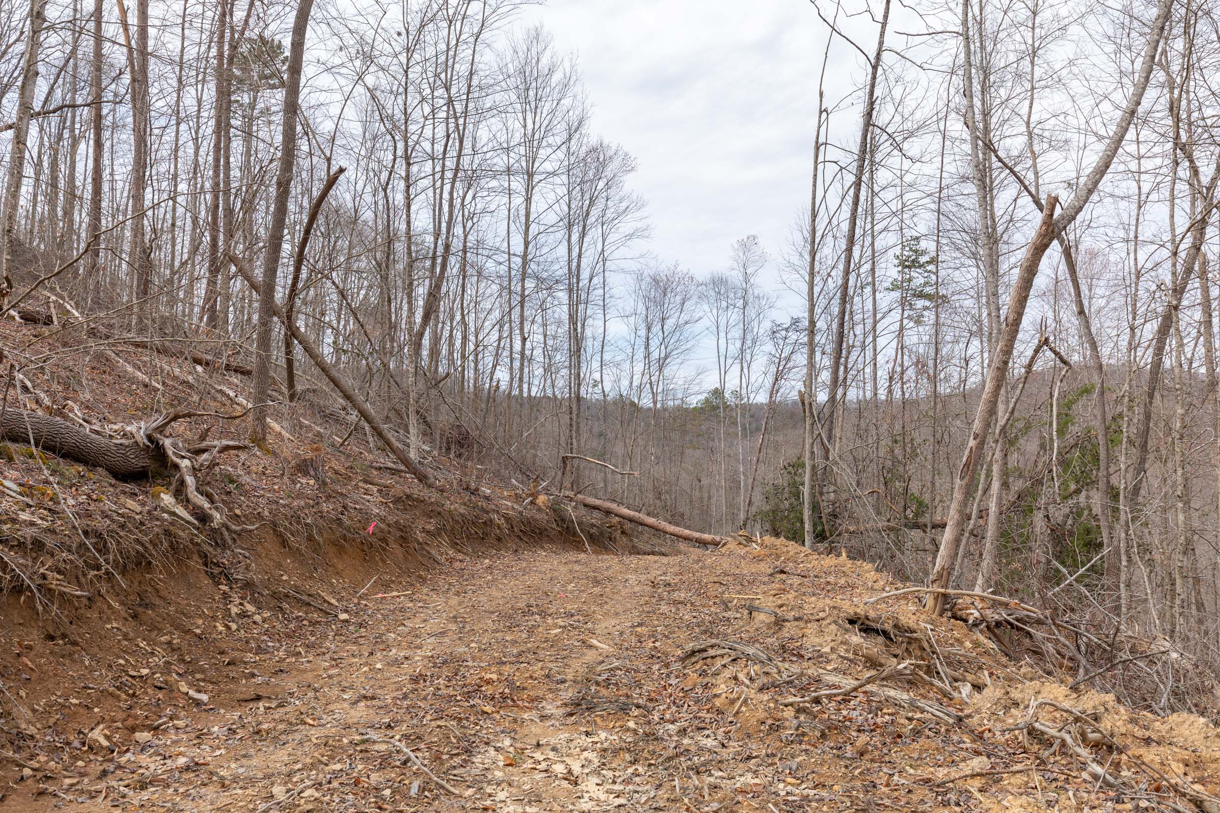 Tract 4 at Creek Hollow Phase I in Rockcastle County, Kentucky