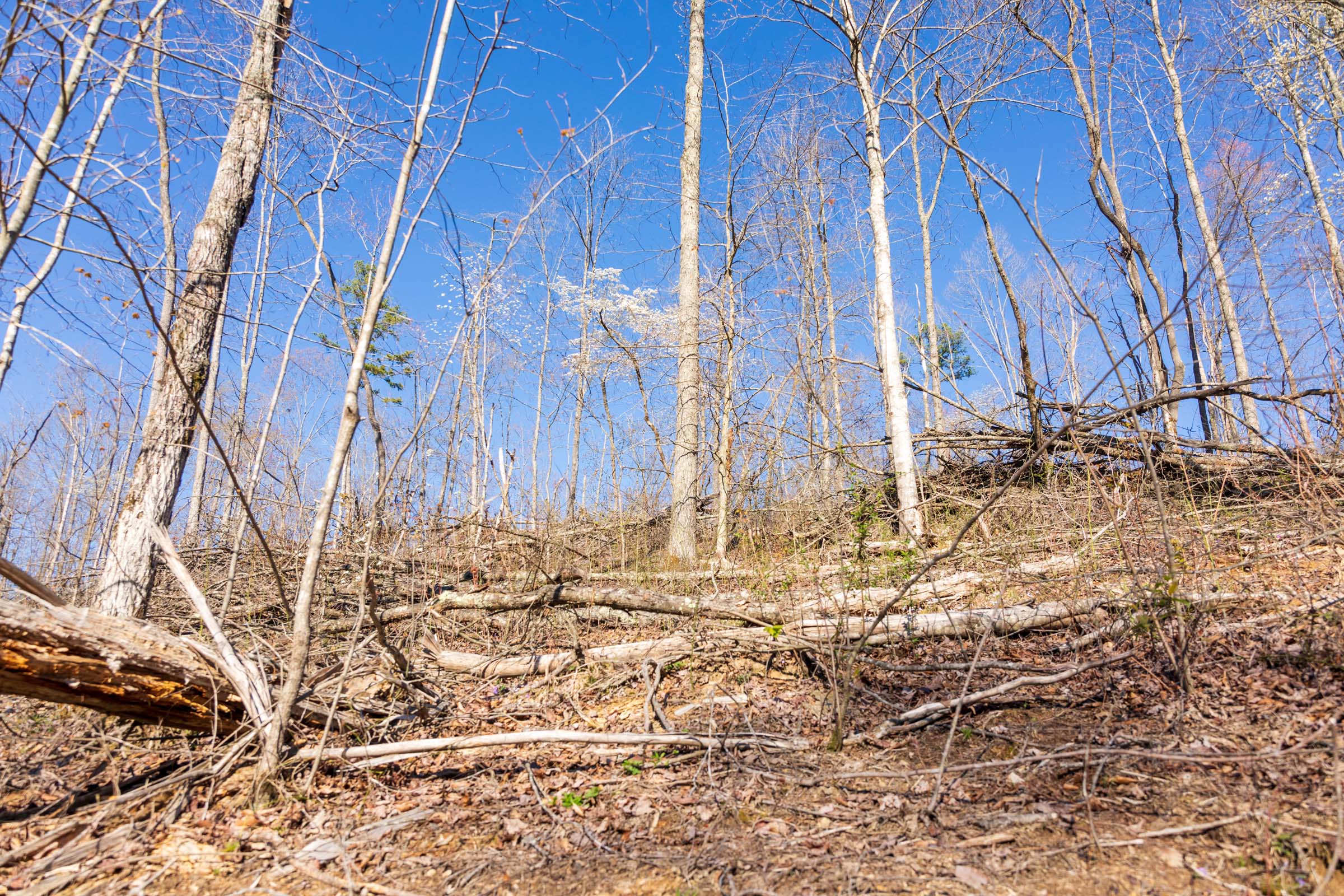 Tract 40 at Creek Hollow Phase I in Rockcastle County, Kentucky