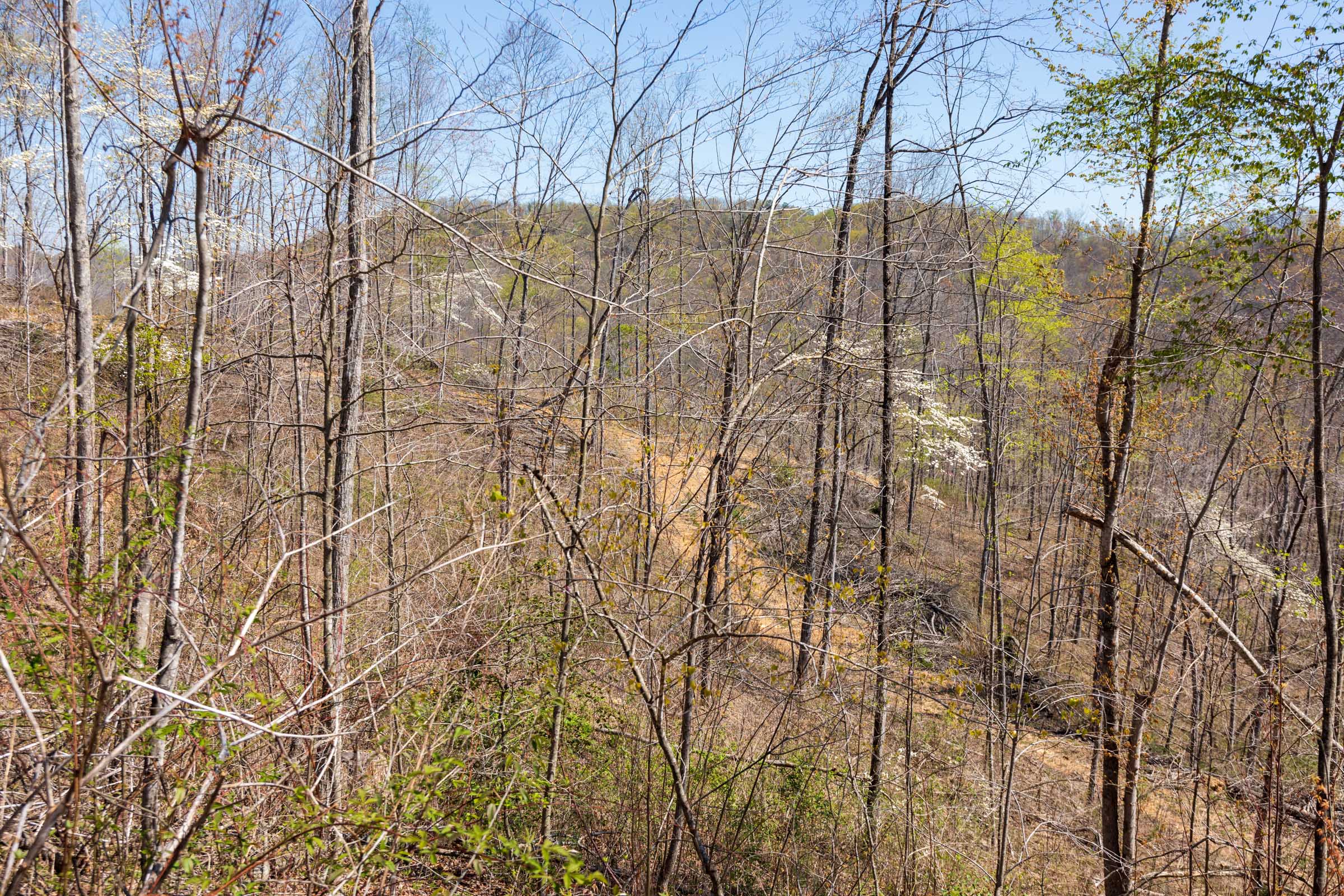 Tract 41 at Creek Hollow Phase I in Rockcastle County, Kentucky