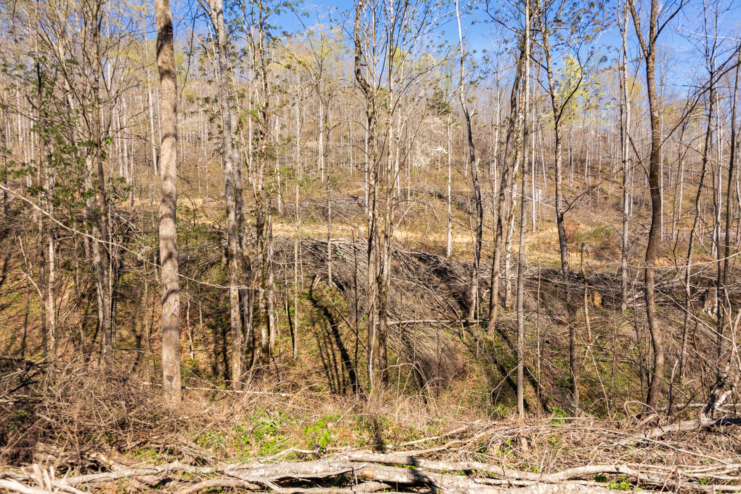 Tract 42 at Creek Hollow Phase I in Rockcastle County, Kentucky