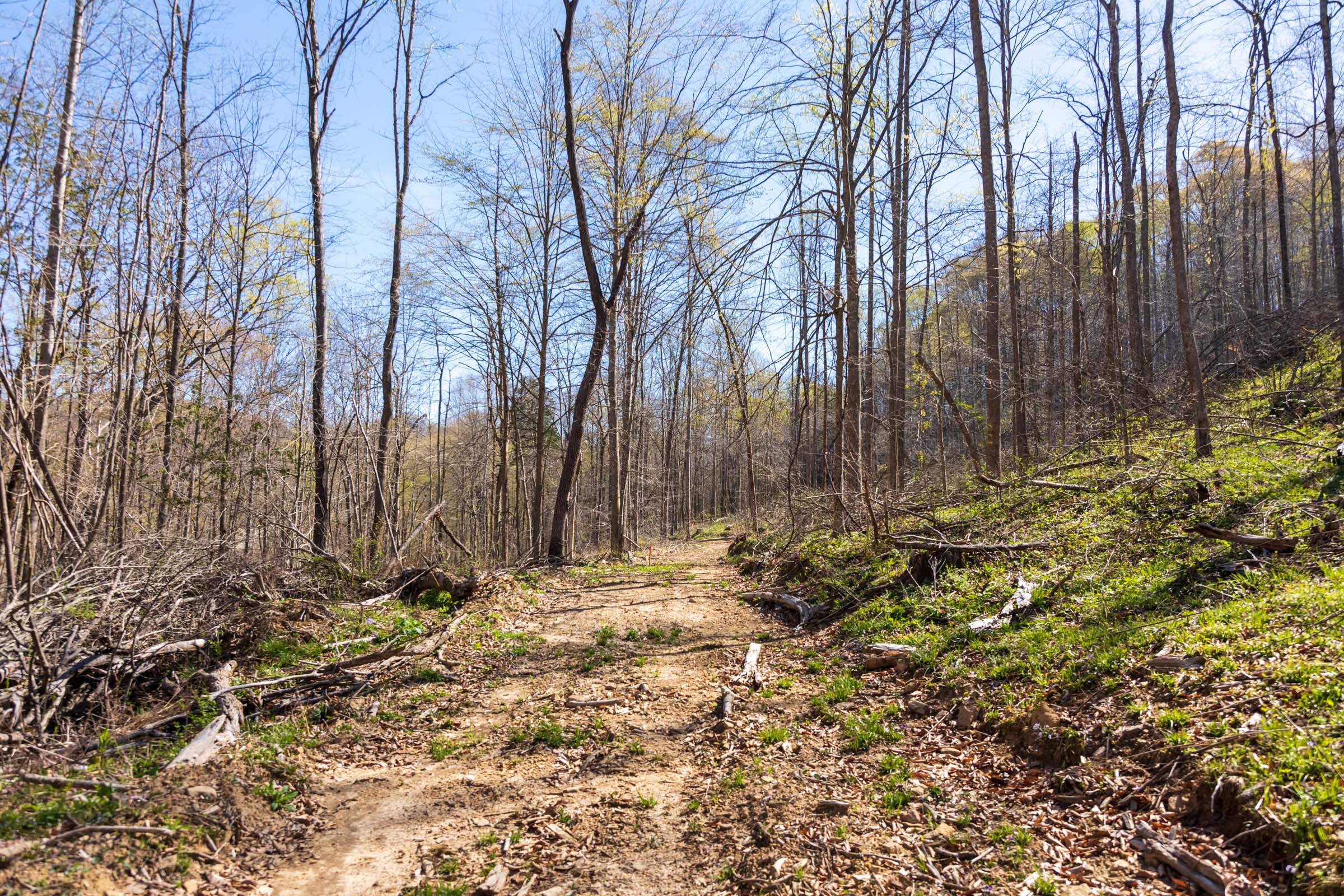 Tract 43 at Creek Hollow Phase I in Rockcastle County, Kentucky