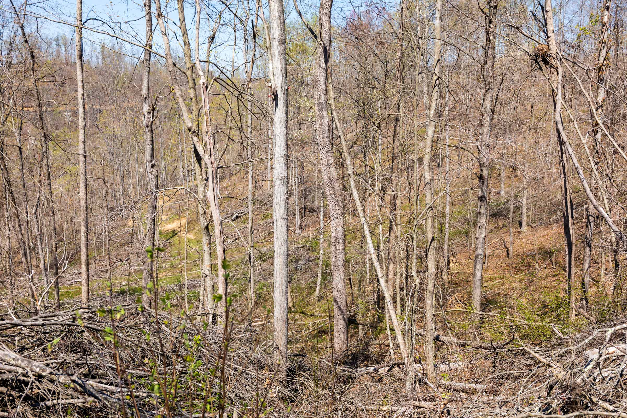 Tract 44 at Creek Hollow Phase I in Rockcastle County, Kentucky