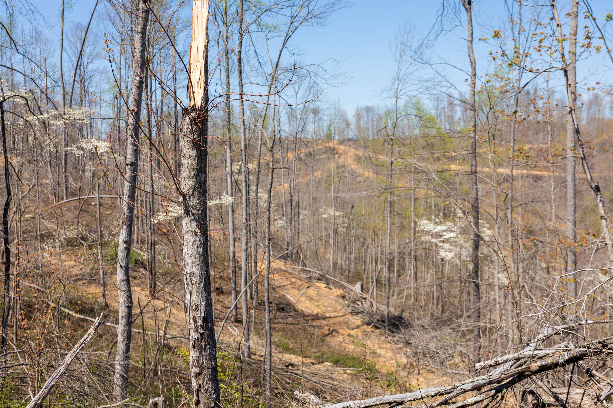Tract 45 at Creek Hollow Phase I in Rockcastle County, Kentucky