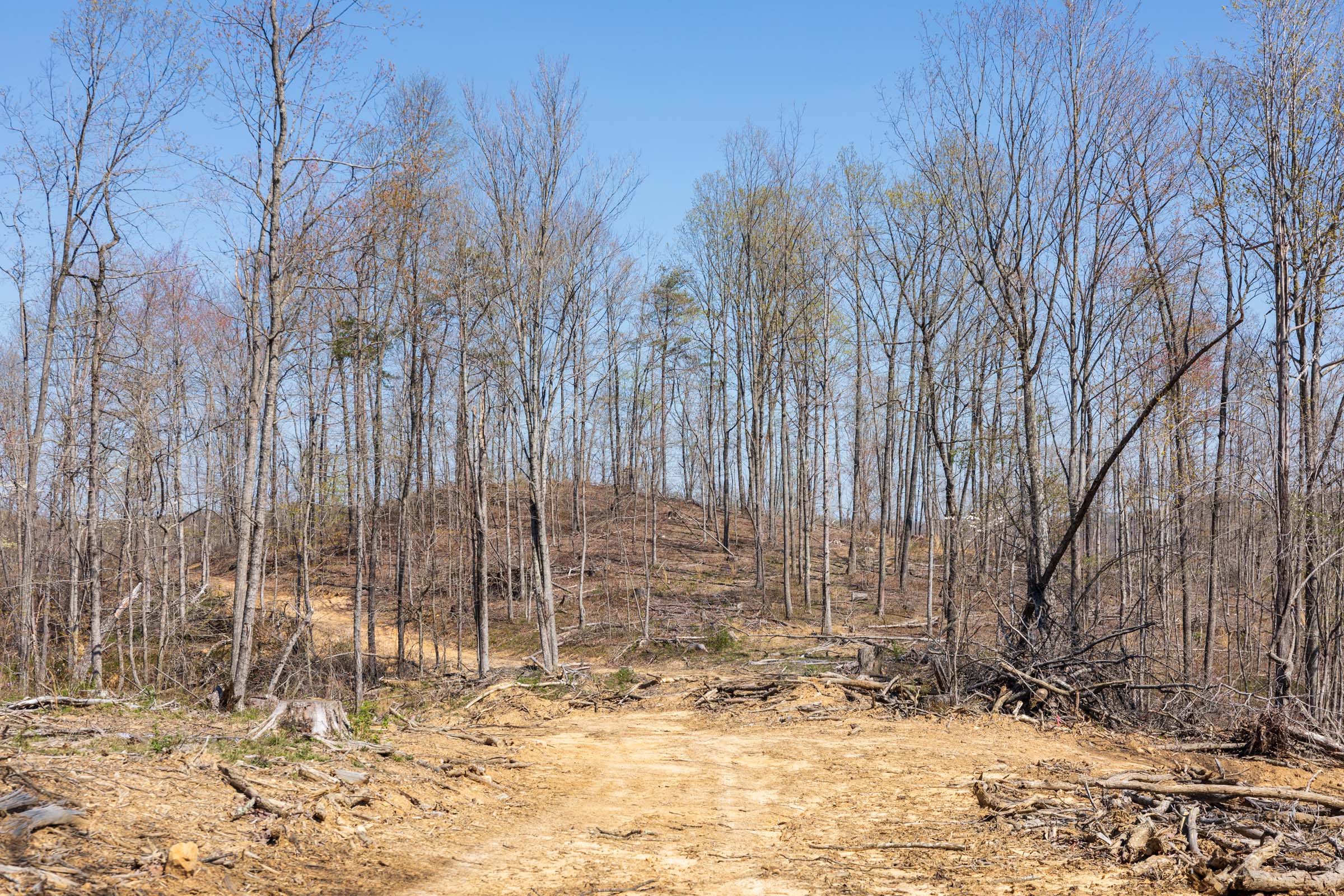 Tract 46 at Creek Hollow Phase I in Rockcastle County, Kentucky