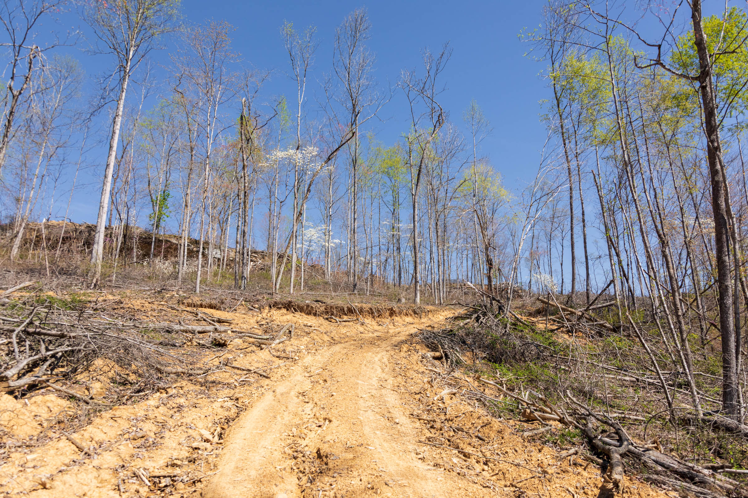 Tract 47 at Creek Hollow Phase I in Rockcastle County, Kentucky