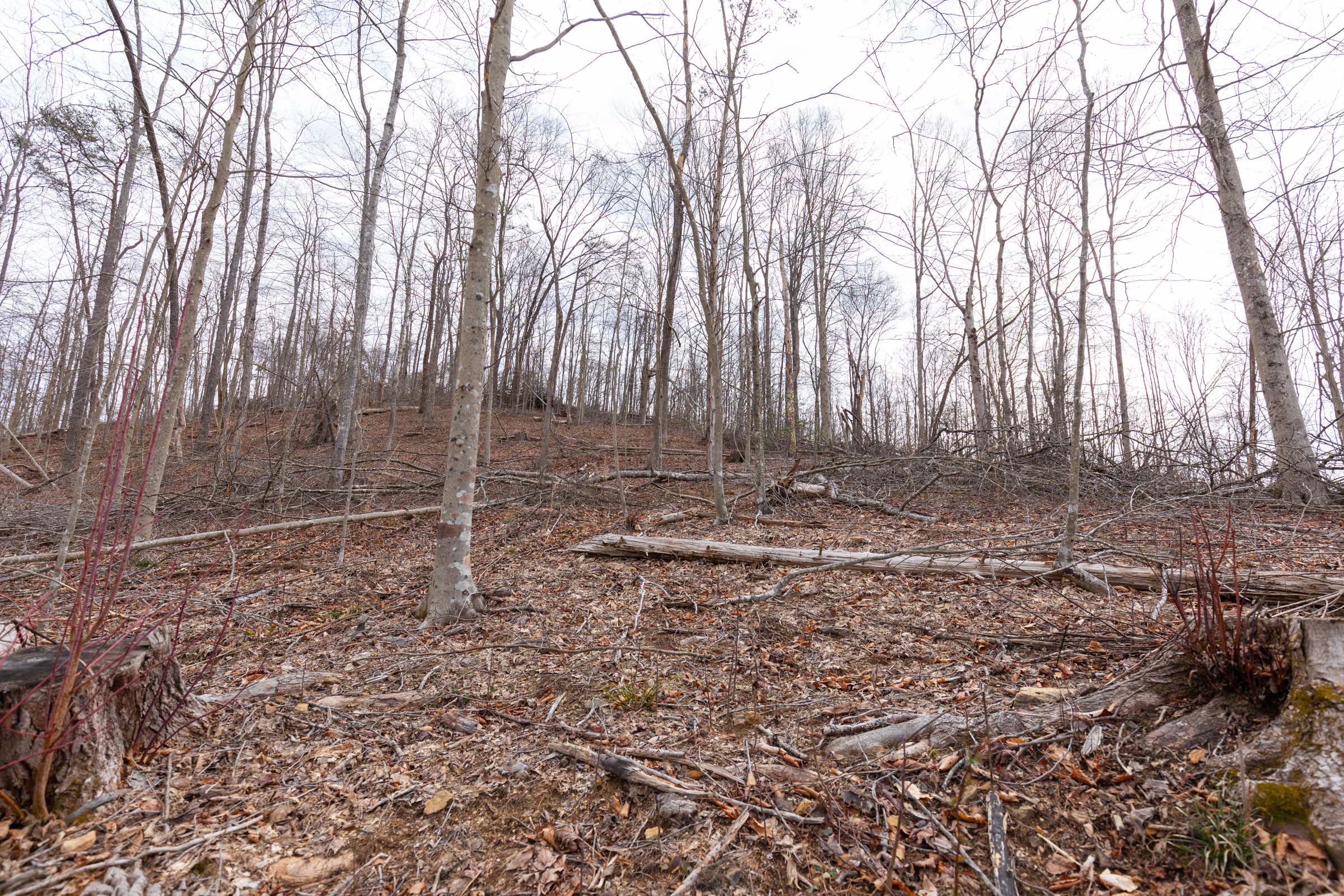 Tract 5 at Creek Hollow Phase I in Rockcastle County, Kentucky