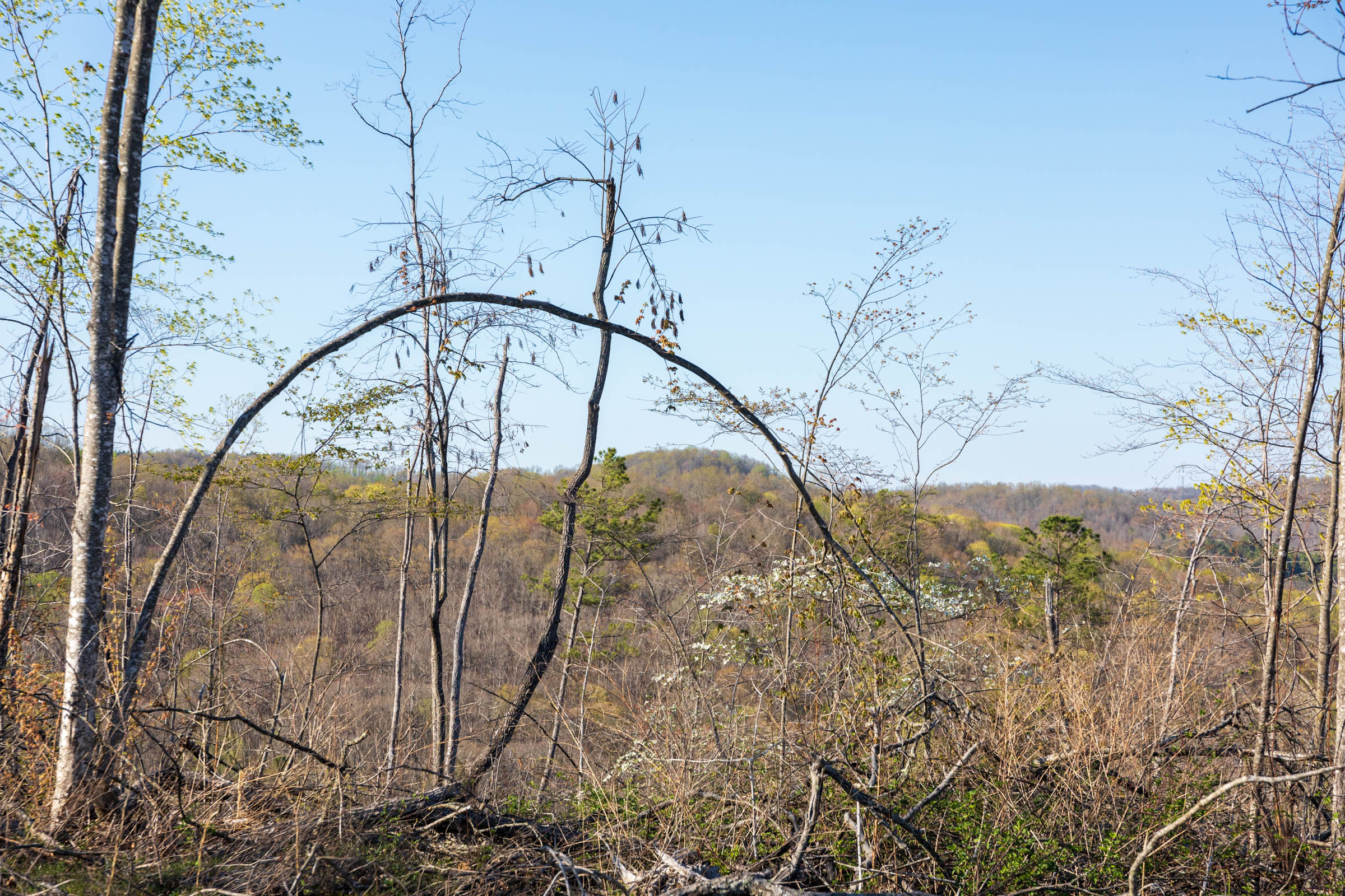 Tract 50 at Creek Hollow Phase I in Rockcastle County, Kentucky