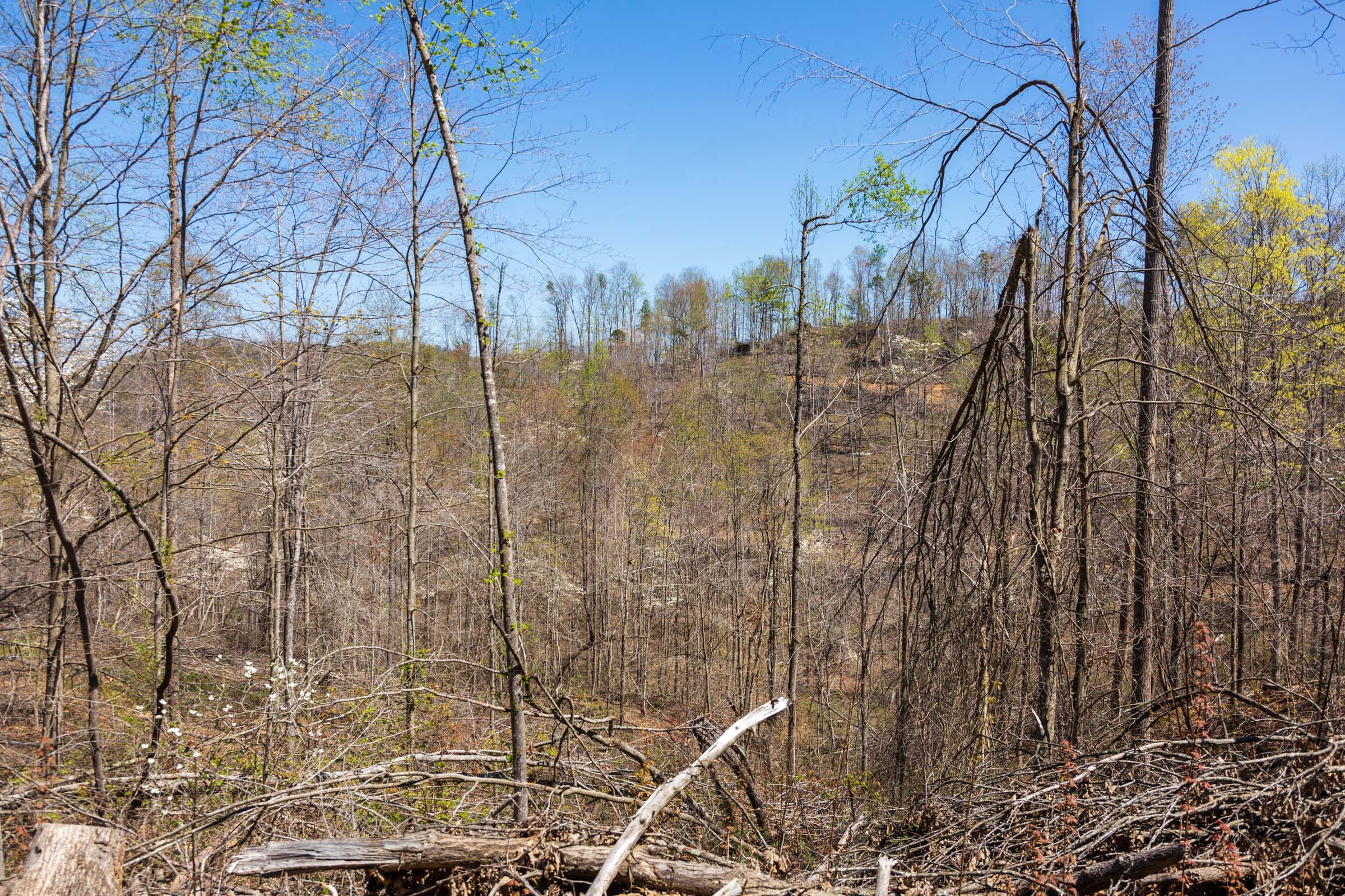 Tract 52 at Creek Hollow Phase I in Rockcastle County, Kentucky