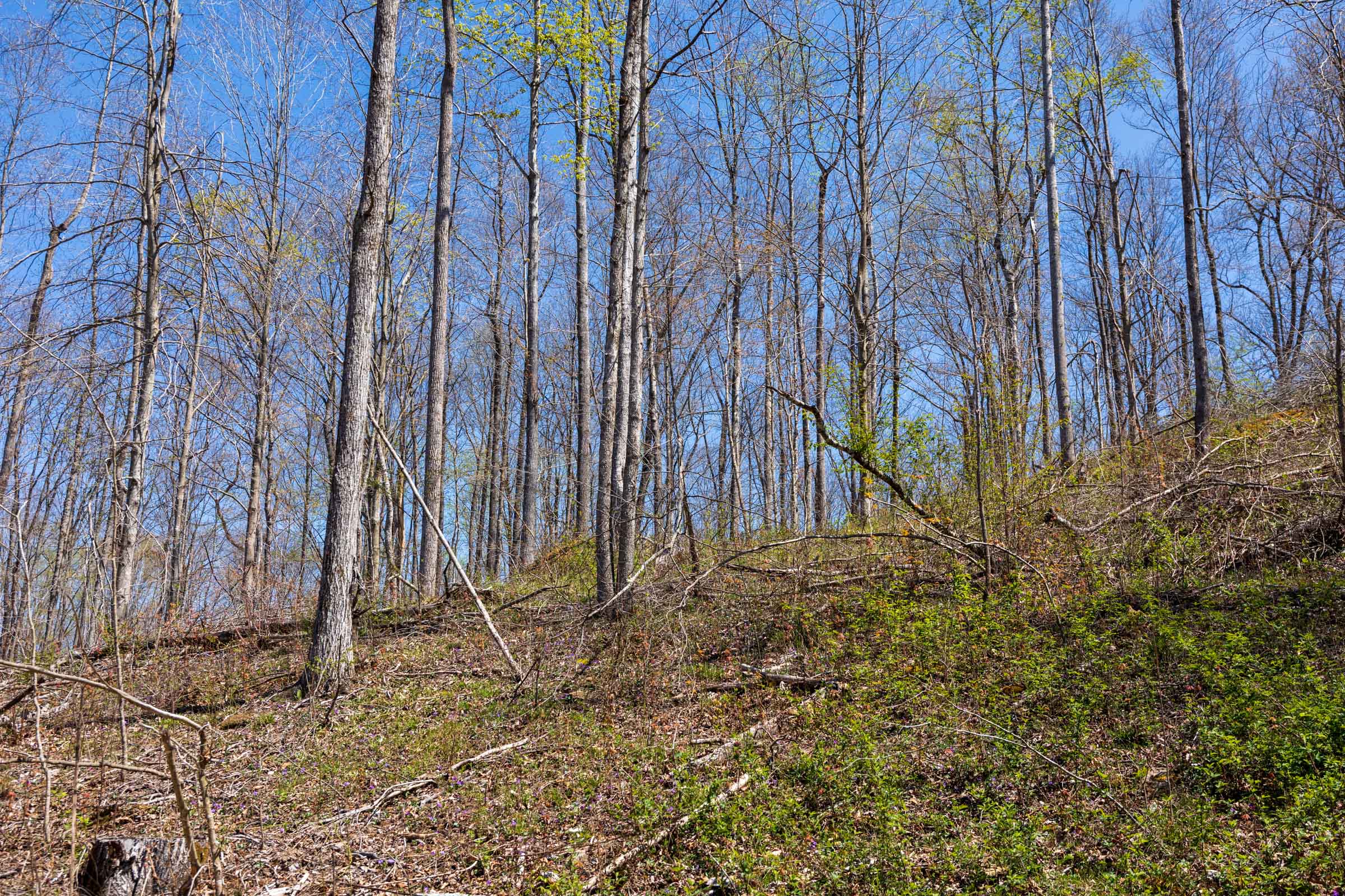 Tract 55 at Creek Hollow Phase I in Rockcastle County, Kentucky