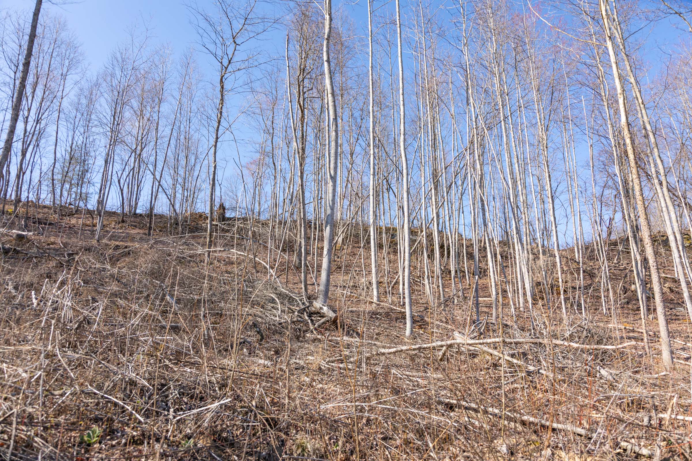 Tract 8 at Creek Hollow Phase I in Rockcastle County, Kentucky