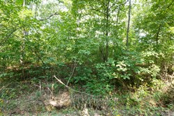 property photo for Springlake Plat 2 Tract 10, 0.21 acres for sale in Miller County, Missouri