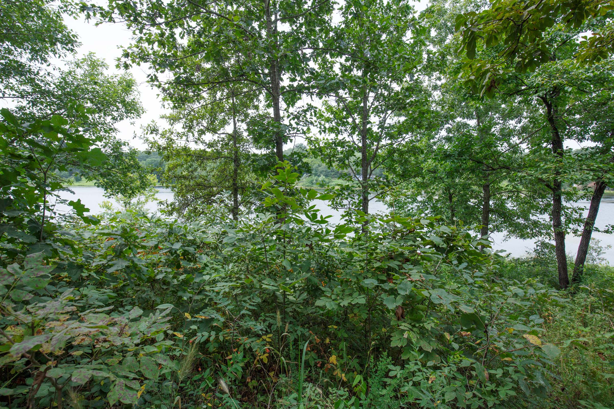 Tract 7 at Springlake in Miller County, Missouri